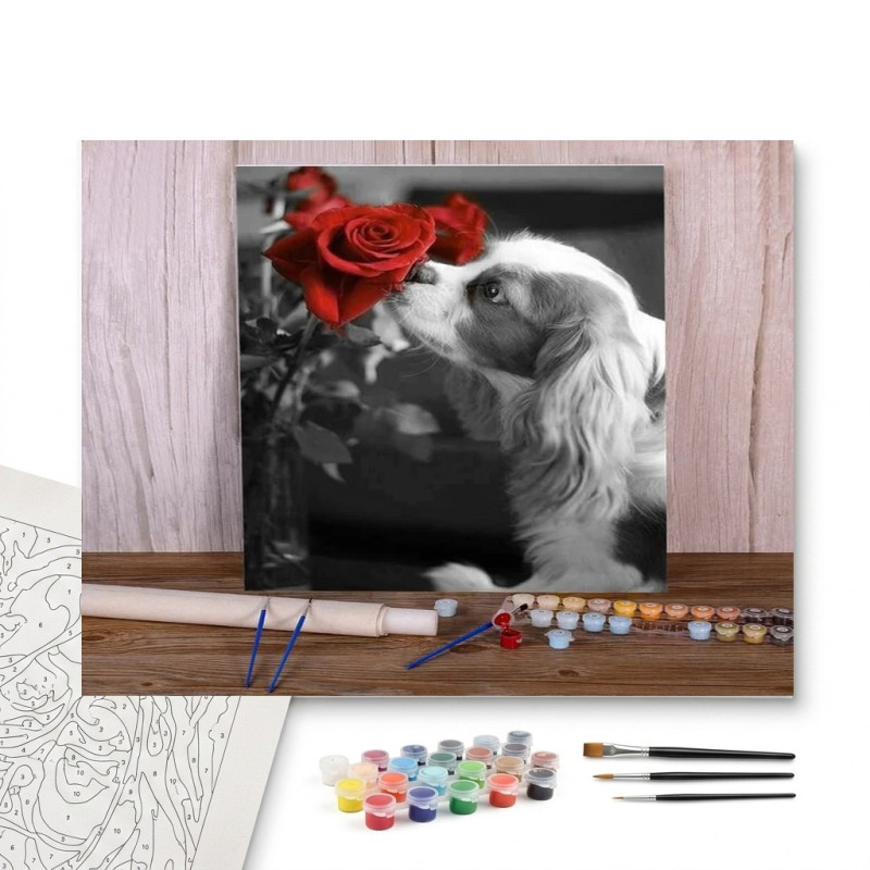 Contenu complet du kit peinture par numero Cavalier King Charles à la Rose Éclatante