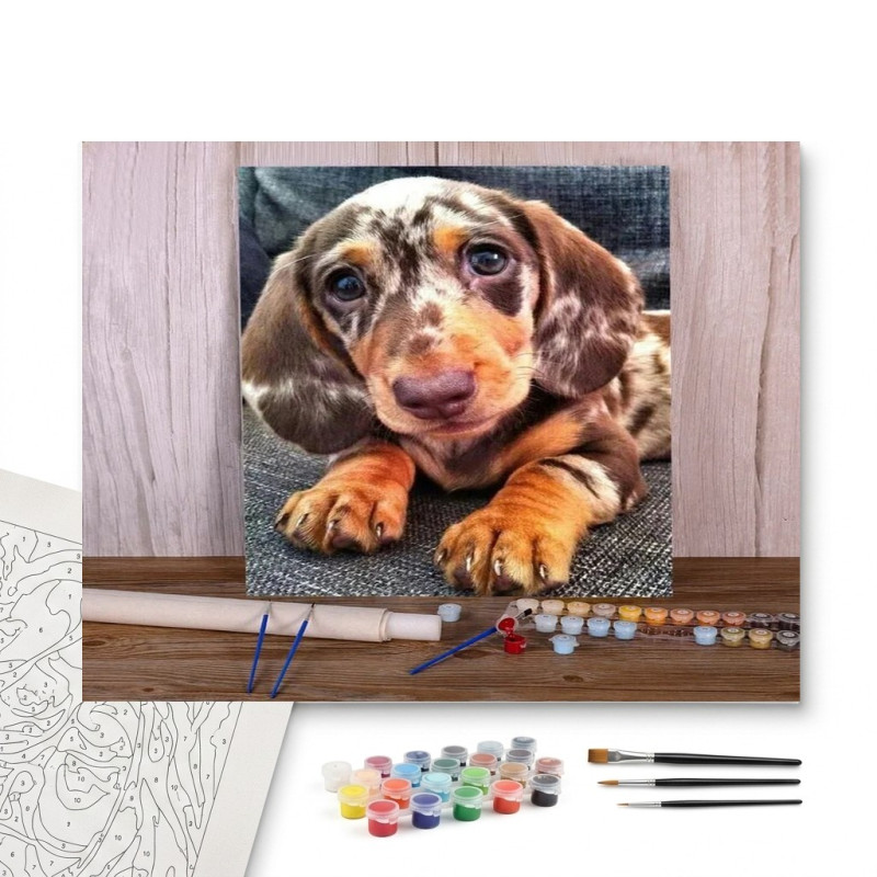 Contenu complet du kit peinture par numero Teckel Arlequin au Regard Craquant
