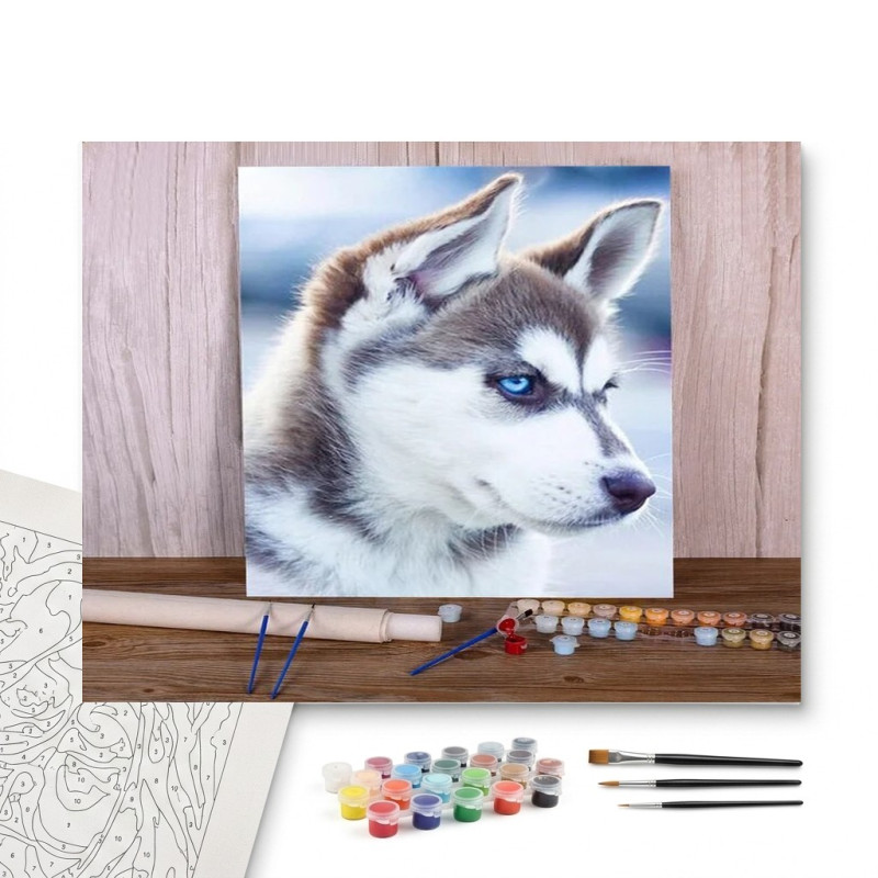 Contenu complet du kit peinture par numero Husky Sibérien aux Yeux d'Azur