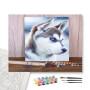 Contenu du kit - Husky Sibérien aux Yeux d'Azur