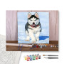 Contenu du kit - Husky en Balade Hivernale
