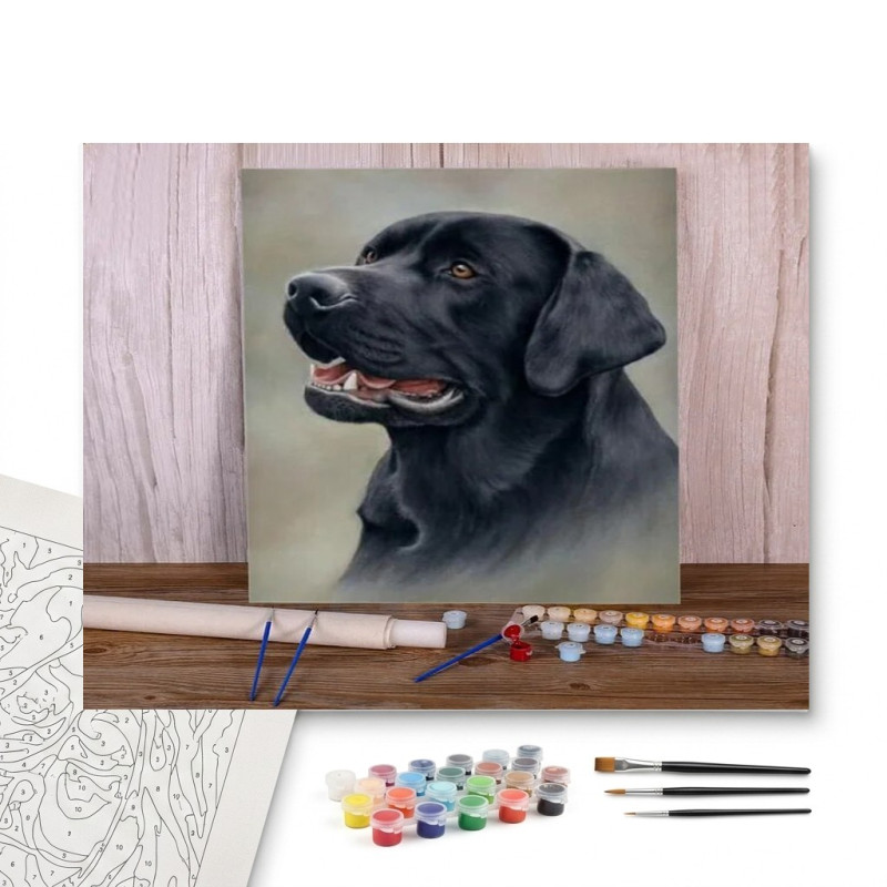 Contenu complet du kit peinture par numero Labrador Noir au Regard Noble