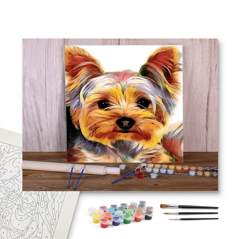 Contenu complet du kit peinture par numero Yorkshire Terrier au Regard Doux