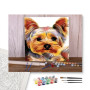 Contenu du kit - Yorkshire Terrier au Regard Doux