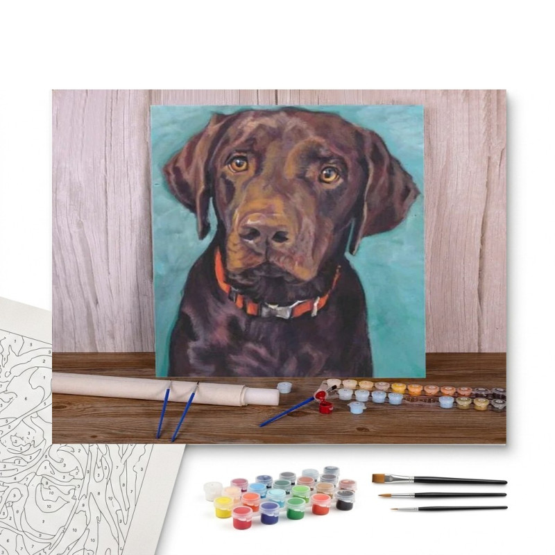 Contenu complet du kit peinture par numero Labrador Chocolat au Collier Orange