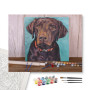Contenu du kit - Labrador Chocolat au Collier Orange