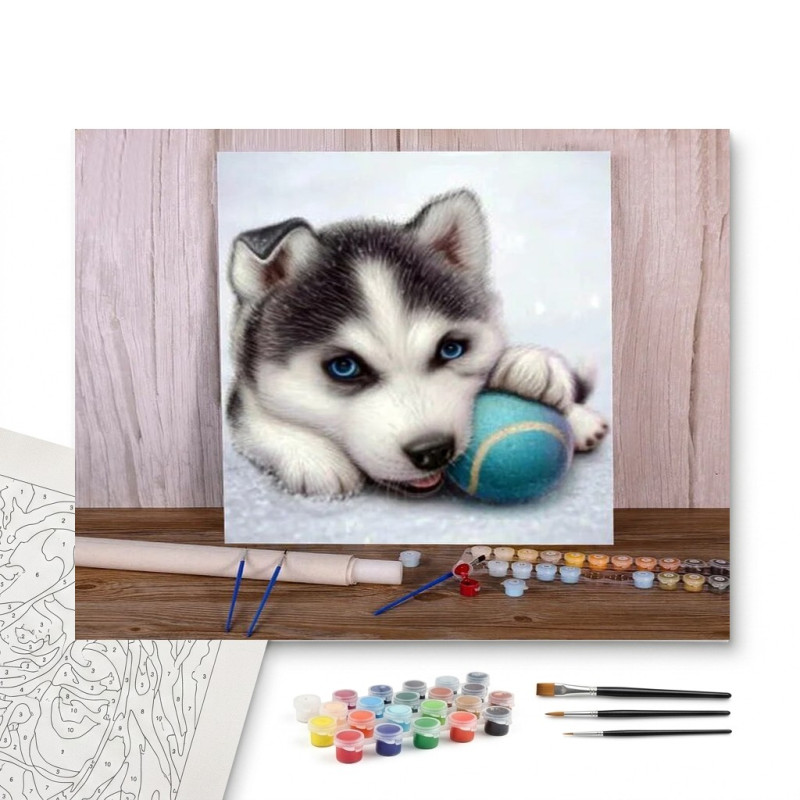 Contenu complet du kit peinture par numero Chiot Husky Joueur à la Balle Bleue