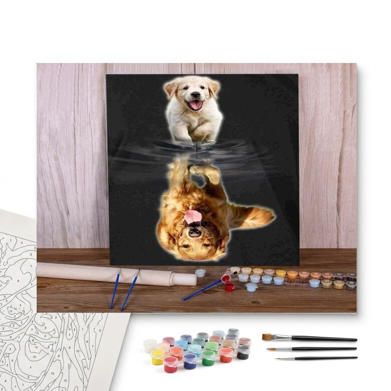Contenu complet du kit peinture par numero Golden Retriever : Chiot et son Reflet Majestueux