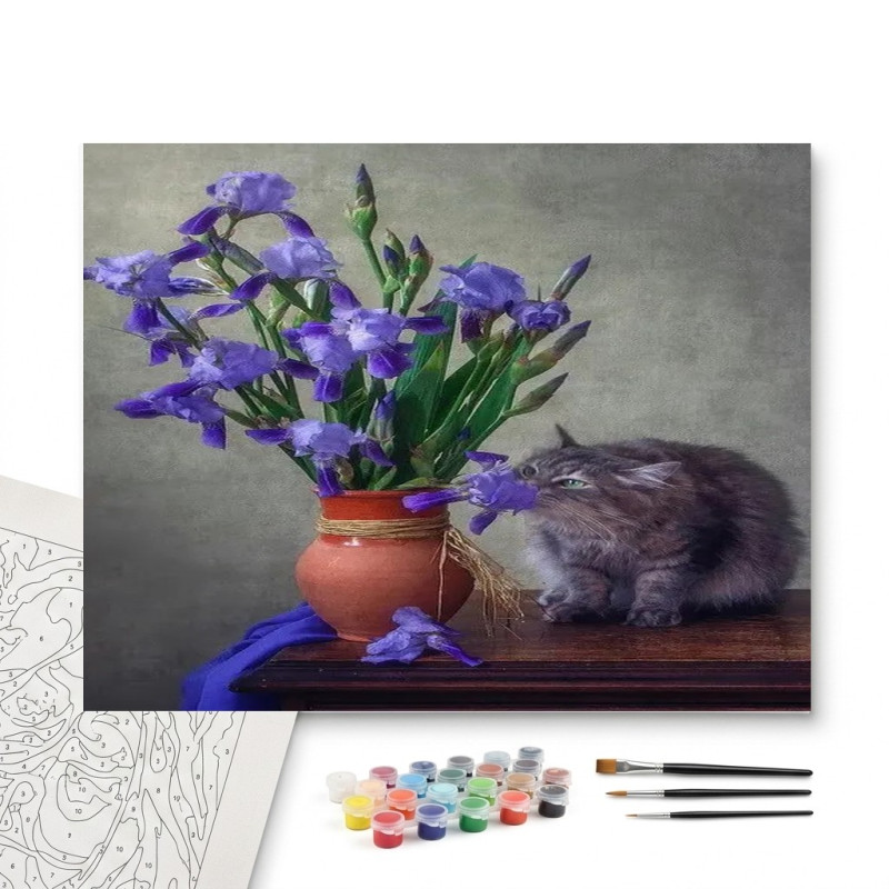Contenu complet du kit peinture par numero Kit Chat Persan et Iris | Tableau DIY Facile et Relaxant