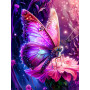 Papillon Féérique Peinture Par Numéro Papillons