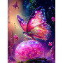 Papillon Magique Peinture Par Numéro Papillons