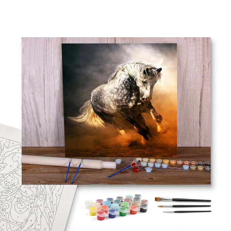 Contenu complet du kit peinture par numero Le Cheval Ibérique au Galop Solaire