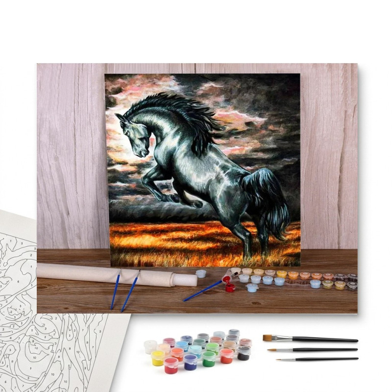 Contenu complet du kit peinture par numero Étalon Noir Sauvage et Terre de Feu