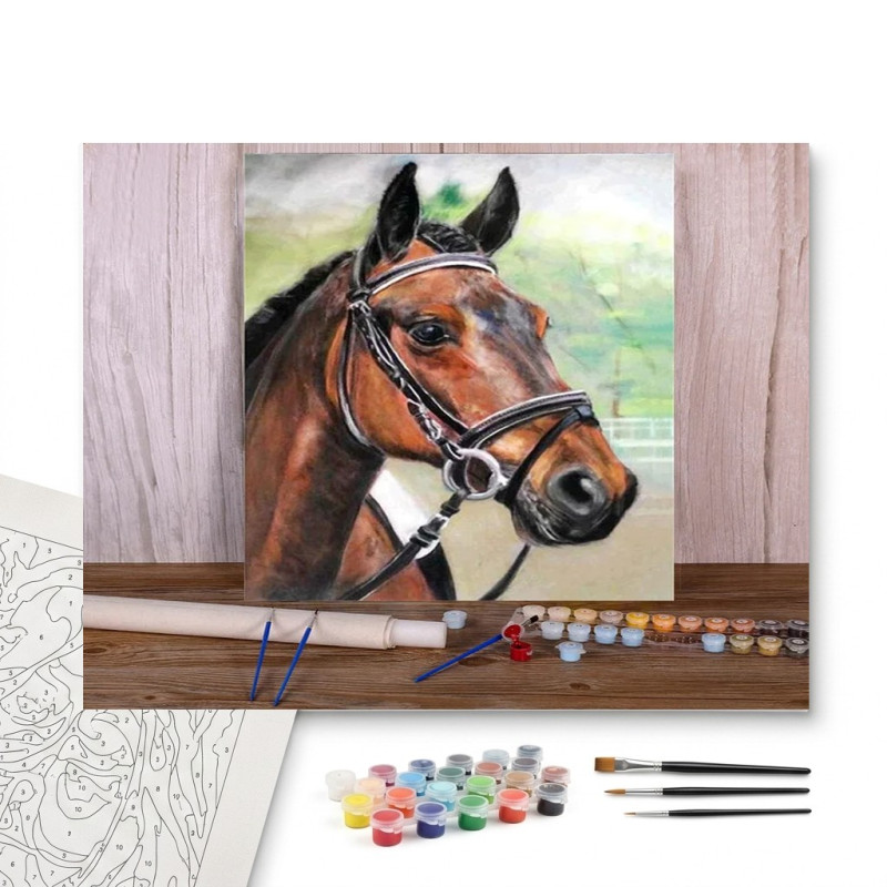 Contenu complet du kit peinture par numero Portrait Cheval Dressage Détaillé