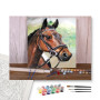Contenu du kit - Portrait Cheval Dressage Détaillé
