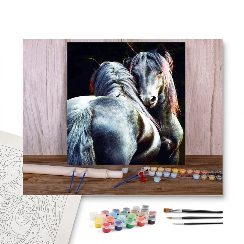 Contenu complet du kit peinture par numero Duo Chevaux Nacrés Mystiques