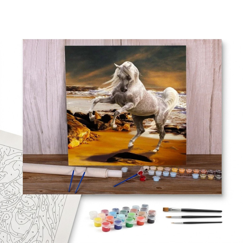 Contenu complet du kit peinture par numero Cheval Blanc Fougueux