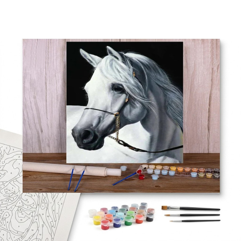 Contenu complet du kit peinture par numero Majestueux Andalou Blanc Élégance Pure