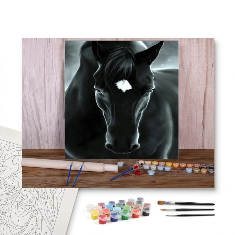 Contenu complet du kit peinture par numero Cheval Noir Mystique Aura Ténébreuse
