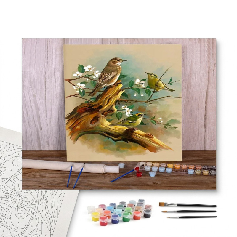 Contenu complet du kit peinture par numero Trio de Fauvettes au Cœur du Printemps