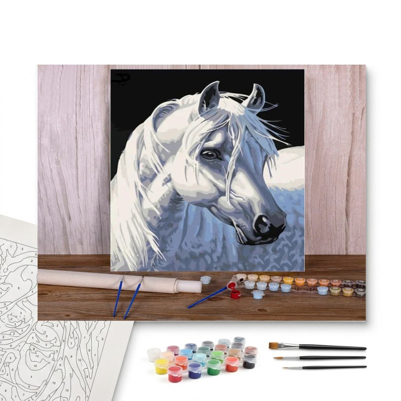 Contenu complet du kit peinture par numero Cheval Nacré