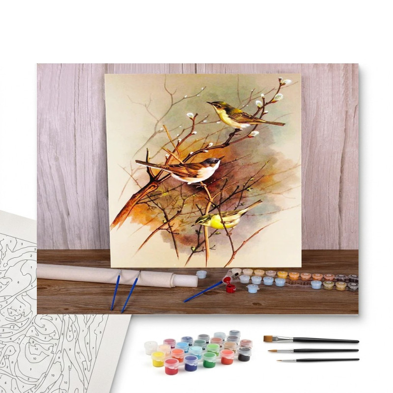 Contenu complet du kit peinture par numero Trio de Roitelets sur Branches Bourgeonnantes