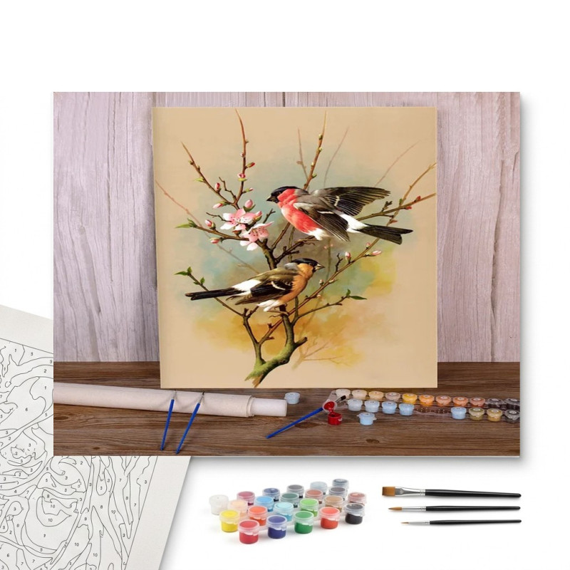Contenu complet du kit peinture par numero Duo de Bouvreuils au Printemps : Éclat Naturel