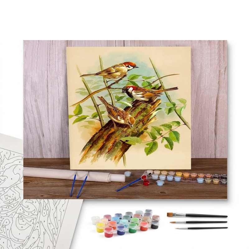 Contenu complet du kit peinture par numero Trio de Moineaux au Jardin : Douceur Champêtre