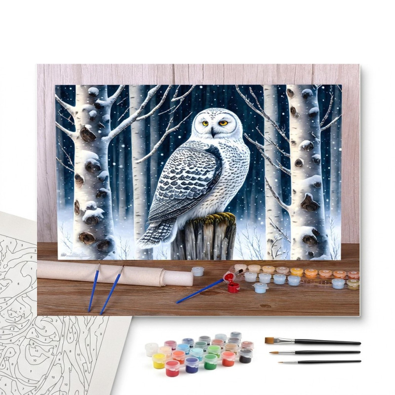 Contenu complet du kit peinture par numero Chouette des Neiges dans la Forêt Hivernale