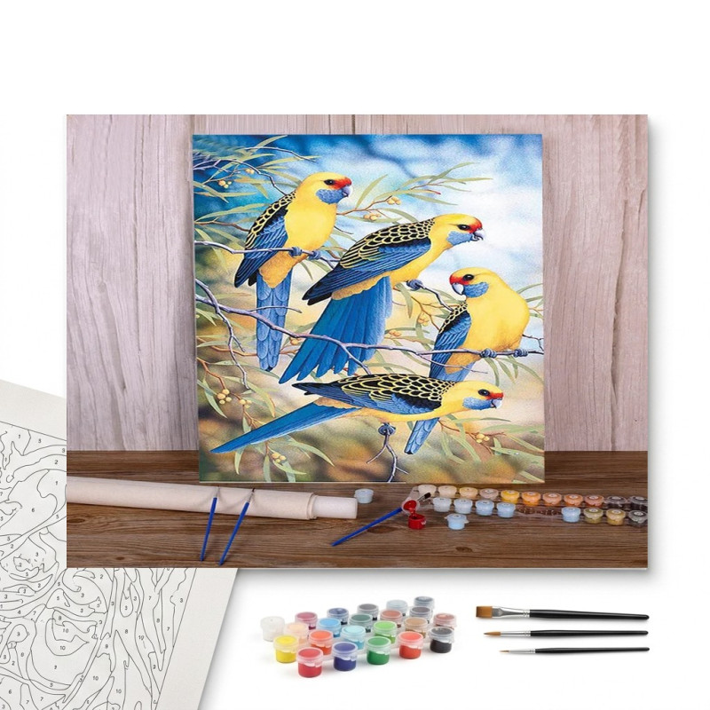 Contenu complet du kit peinture par numero Perruches Australiennes