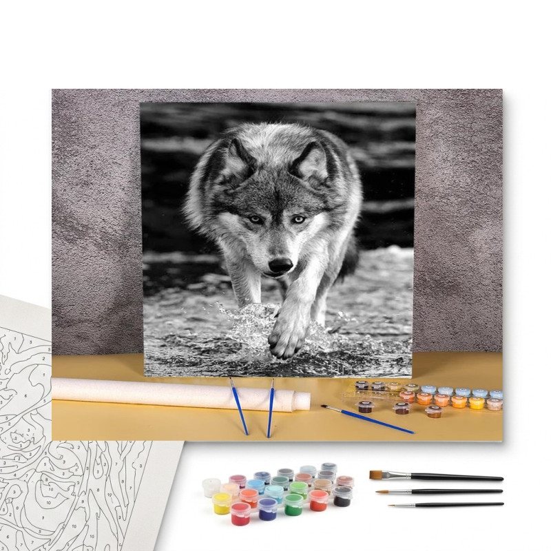 Contenu complet du kit peinture par numero Loup Sauvage en Noir & Blanc