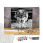 Contenu du kit - Loup Sauvage en Noir & Blanc