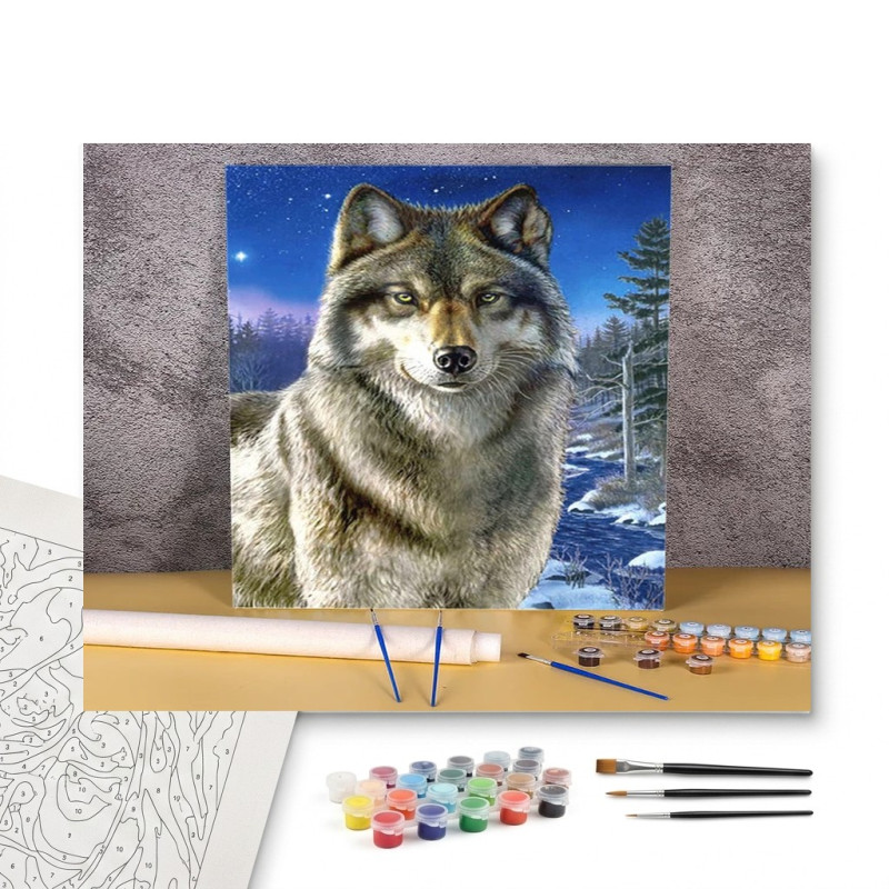 Contenu complet du kit peinture par numero Le Loup Solitaire sous les Étoiles