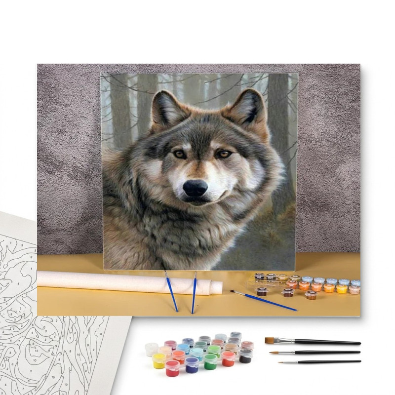 Contenu complet du kit peinture par numero Portrait du Loup Gris au Regard Intense