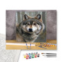 Contenu du kit - Portrait du Loup Gris au Regard Intense