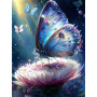 Papillon Opalin Peinture Par Numéro Papillons