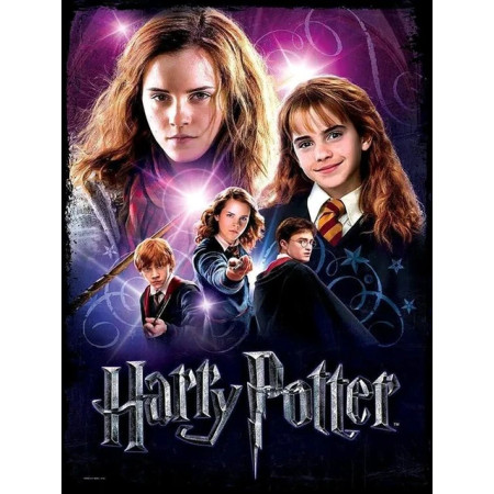 Hermione L’Héritage de la Magie Harry Potter Peinture par Numéro Harry Potter