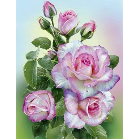 Peinture par Numéro Bouquet de Roses Roses et Blanches