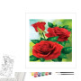 Contenu du kit peinture par numéro Éclat de Roses Rouges Fraîches