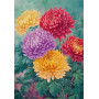 Peinture par Numéro Ronde de Pivoines Romantiques