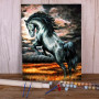 Étalon Noir Sauvage et Terre de Feu Peinture Par Numéro chevaux