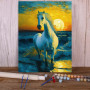 Cheval Blanc sur l'Océan au Soleil Couchant Peinture Par Numéro chevaux