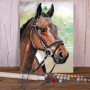 Portrait Cheval Dressage Détaillé Peinture Par Numéro chevaux