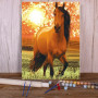 Cheval des Prairies Paisible Peinture Par Numéro chevaux