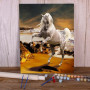 Cheval Blanc Fougueux Peinture Par Numéro chevaux