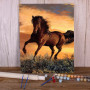 Etalon Bai Galop Furieux Vivante Peinture Par Numéro chevaux