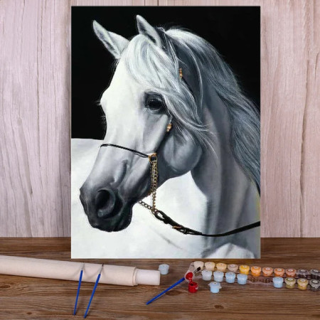 Majestueux Andalou Blanc Élégance Pure Peinture Par Numéro chevaux