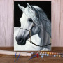 Majestueux Andalou Blanc Élégance Pure Peinture Par Numéro chevaux