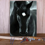Cheval Noir Mystique Aura Ténébreuse Peinture Par Numéro chevaux