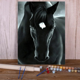 Cheval Noir Mystique Aura Ténébreuse Peinture Par Numéro chevaux